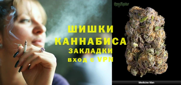 сатива Бородино