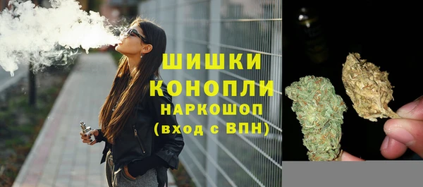 сатива Бородино