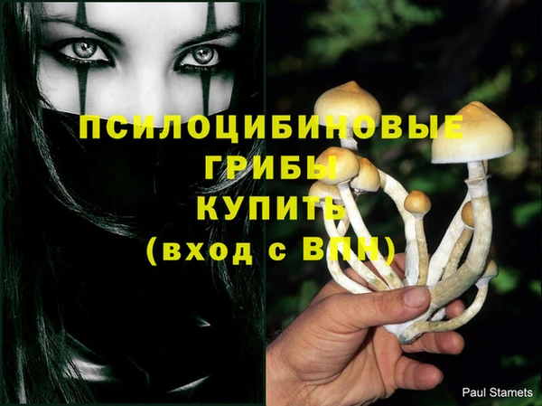 прущая мука Богданович